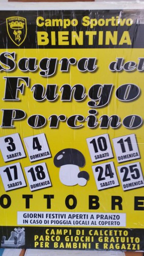 Locandina della Sagra del Fungo Porcino a Bientina, edizione del 2015