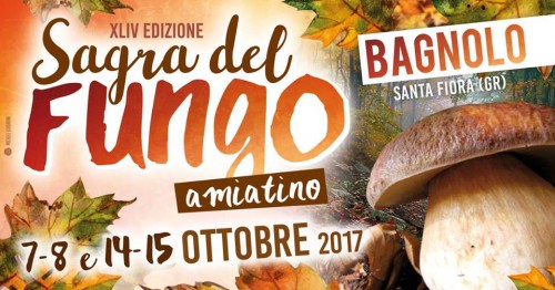 Locandina della Sagra del Fungo Amiatino a Bagnolo, edizione 2017