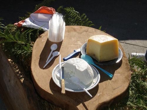 Degustazioni di formaggio presso la Sagra della Ricotta a Stribugliano