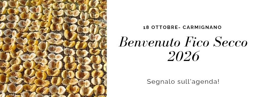 Benvenuto Fico Secco