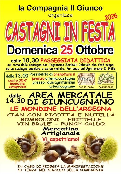 Castagni in festa