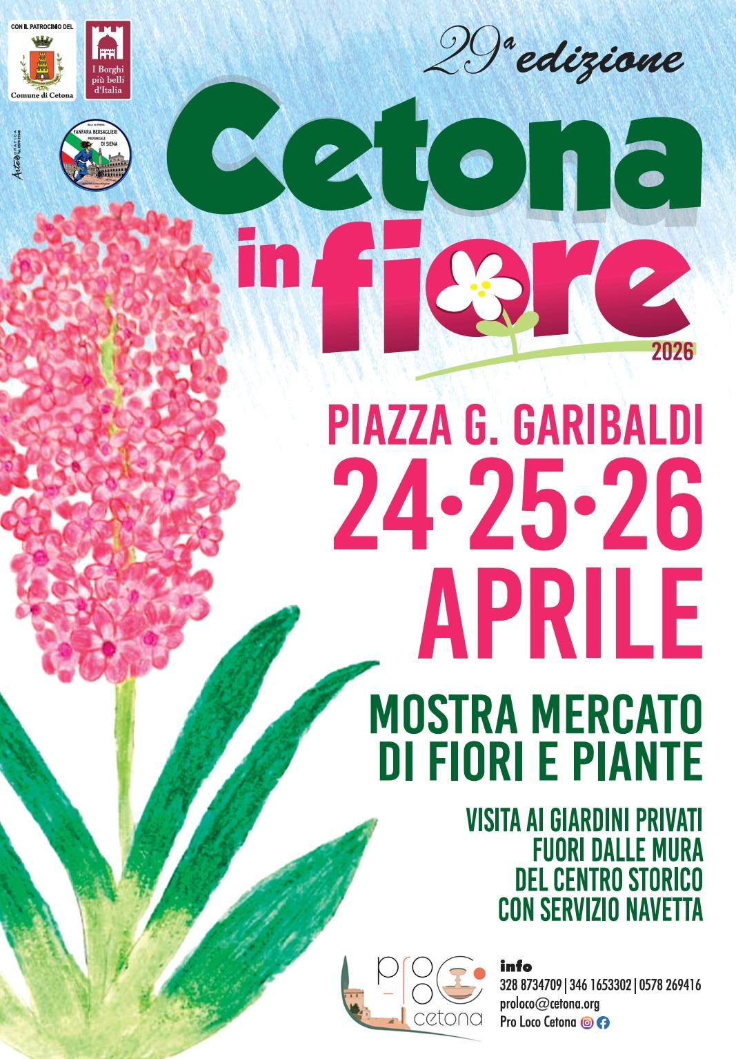 Cetona in Fiore