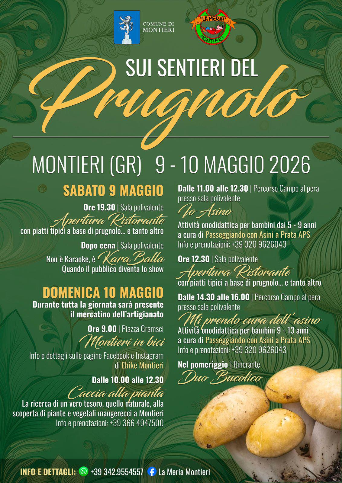 Sui Sentieri del Prugnolo