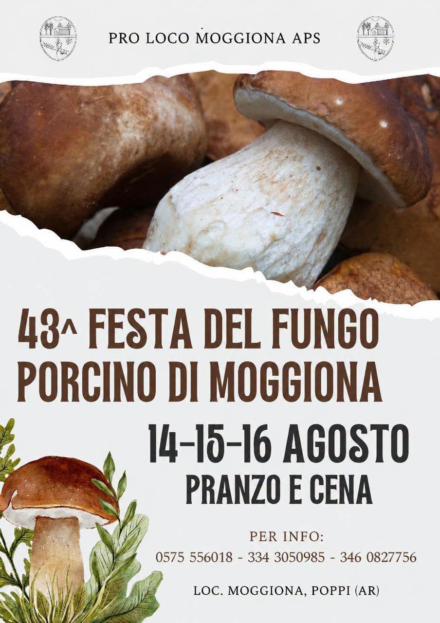 Festa del Fungo Porcino