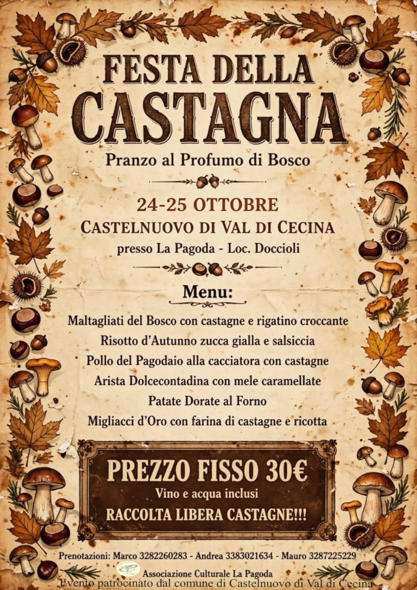 Festa della Castagna