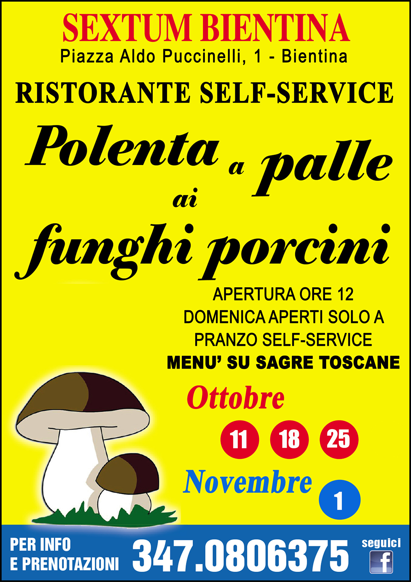Festa della Polenta a palle ai Funghi porcini