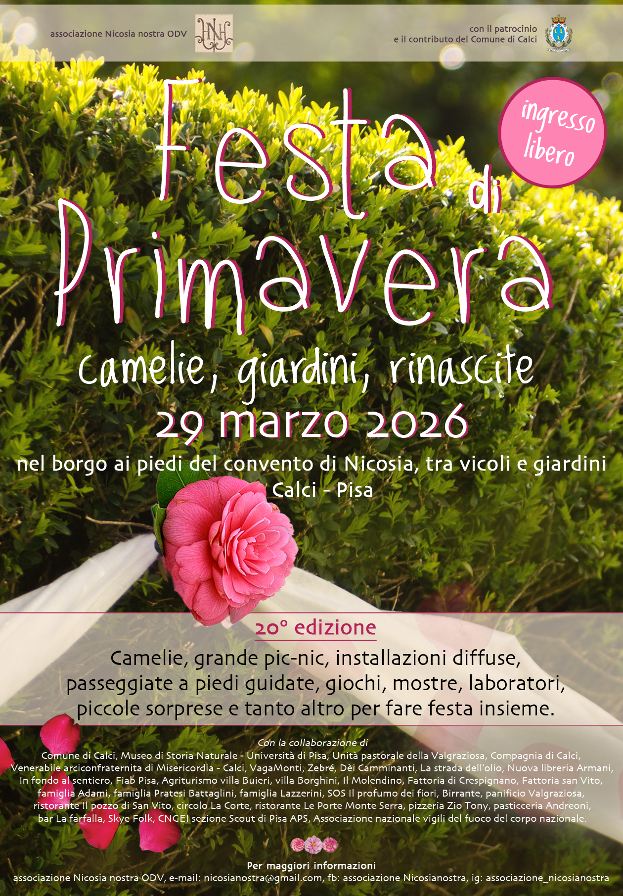 Festa di primavera. Camelie, giardini, ricordi