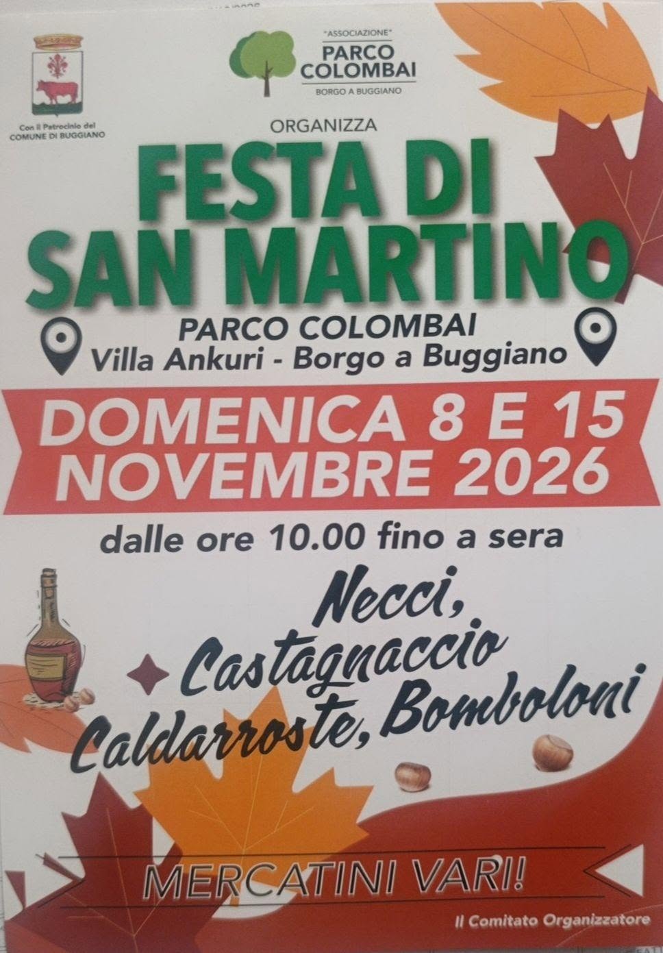 Festa di San Martino