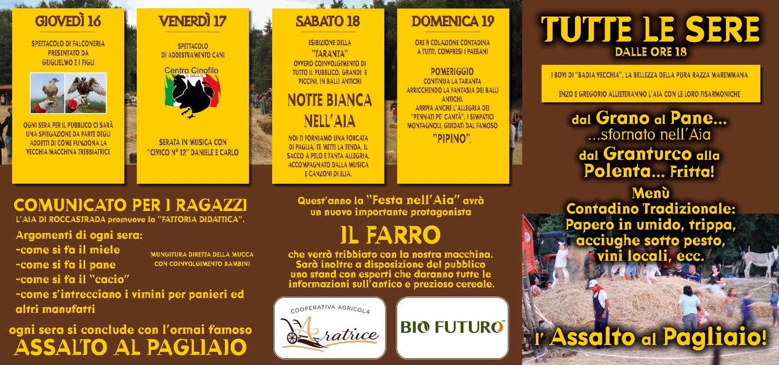 Festa nell'aia
