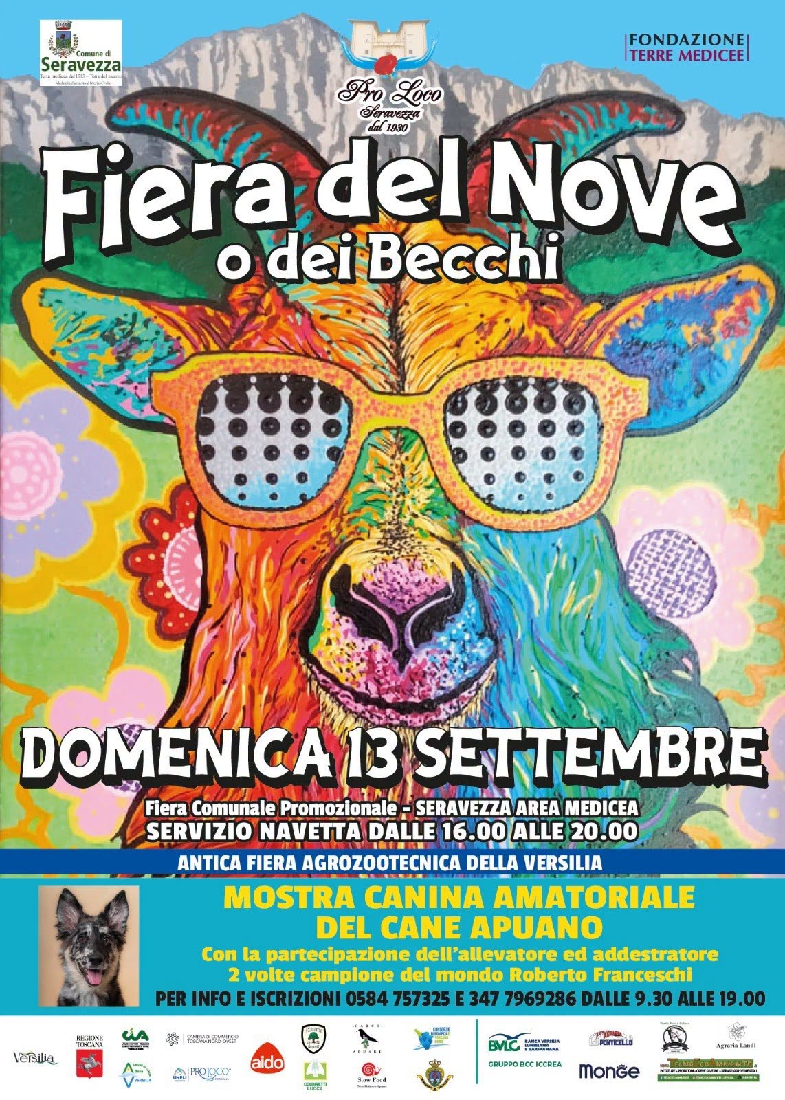 Fiera del Nove o dei Becchi