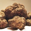Volterragusto. Mostra Mercato del Tartufo Marzuolo