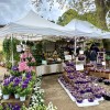 Mostra Mercato Primaverile di piante e fiori