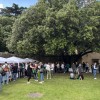 Wine Weekend