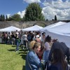 Wine Weekend