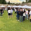 Wine Weekend