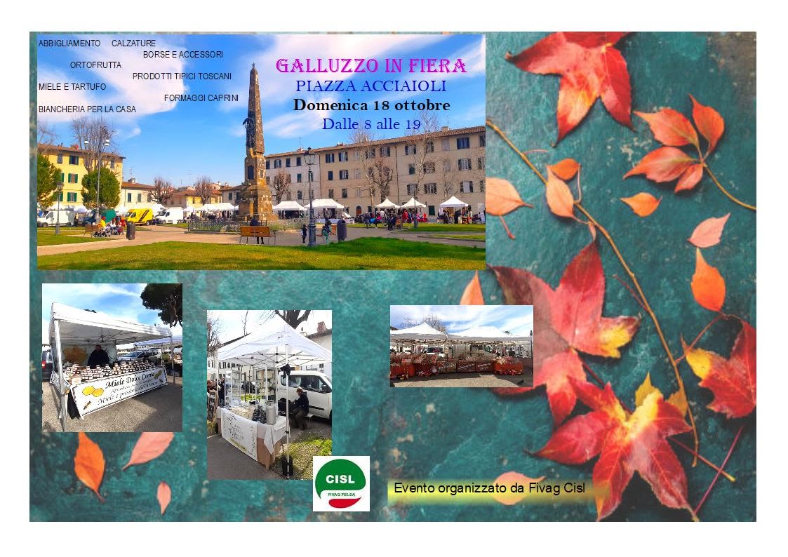 Galluzzo in fiera