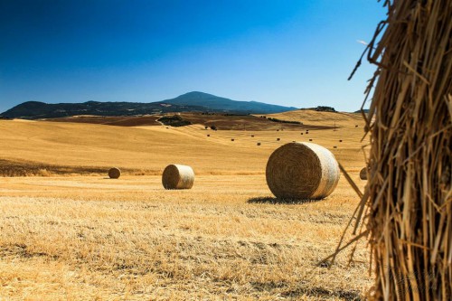 Val d'Orcia in Fiera a Castiglione d'Orcia, edizione 2014