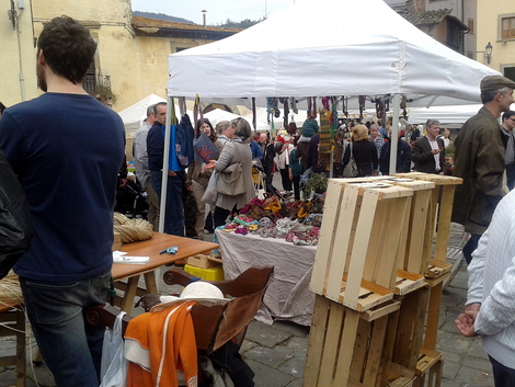 la Biofioricola di Pelago