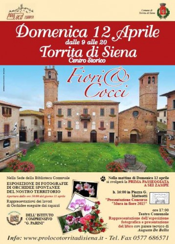 Locandina di Fiori & Cocci a Torrita di Siena, edizione 2015