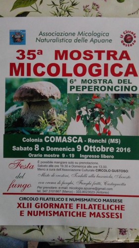 Locandina della Festa del Fungo a Ronchi, edizione del 2016