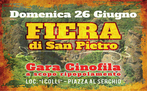Fiera di San Pietro