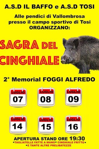 Sagra del Cinghiale