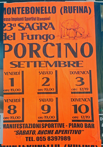 Sagra del Fungo Porcino