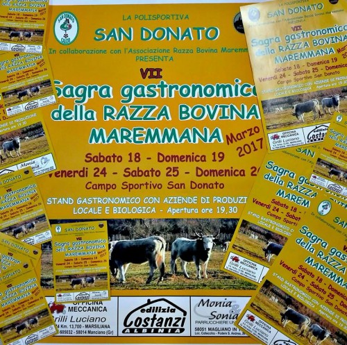 Sagra Gastronomica della Razza Bovina Maremmana