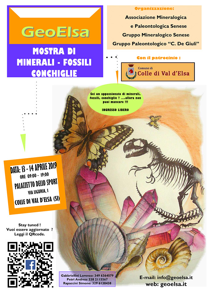 GeoElsa - Mostra di Minerali, Fossili e Conchiglie