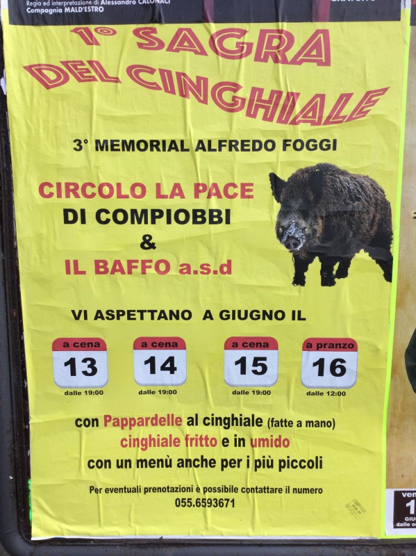 Sagra del Cinghiale
