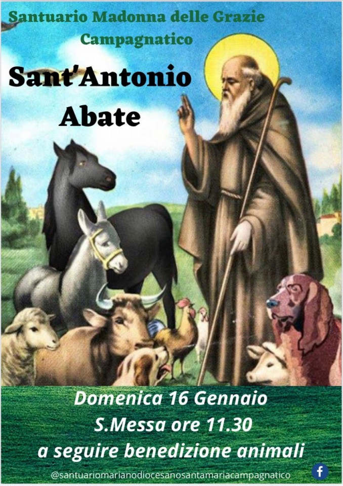 Benedizione degli animali