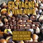 Castagne e Vino Novo