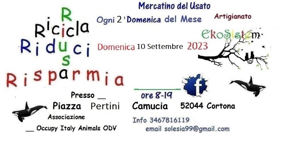 Mercatino dell'Usato a Camucia