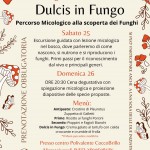 Dulcis in Fungo 
