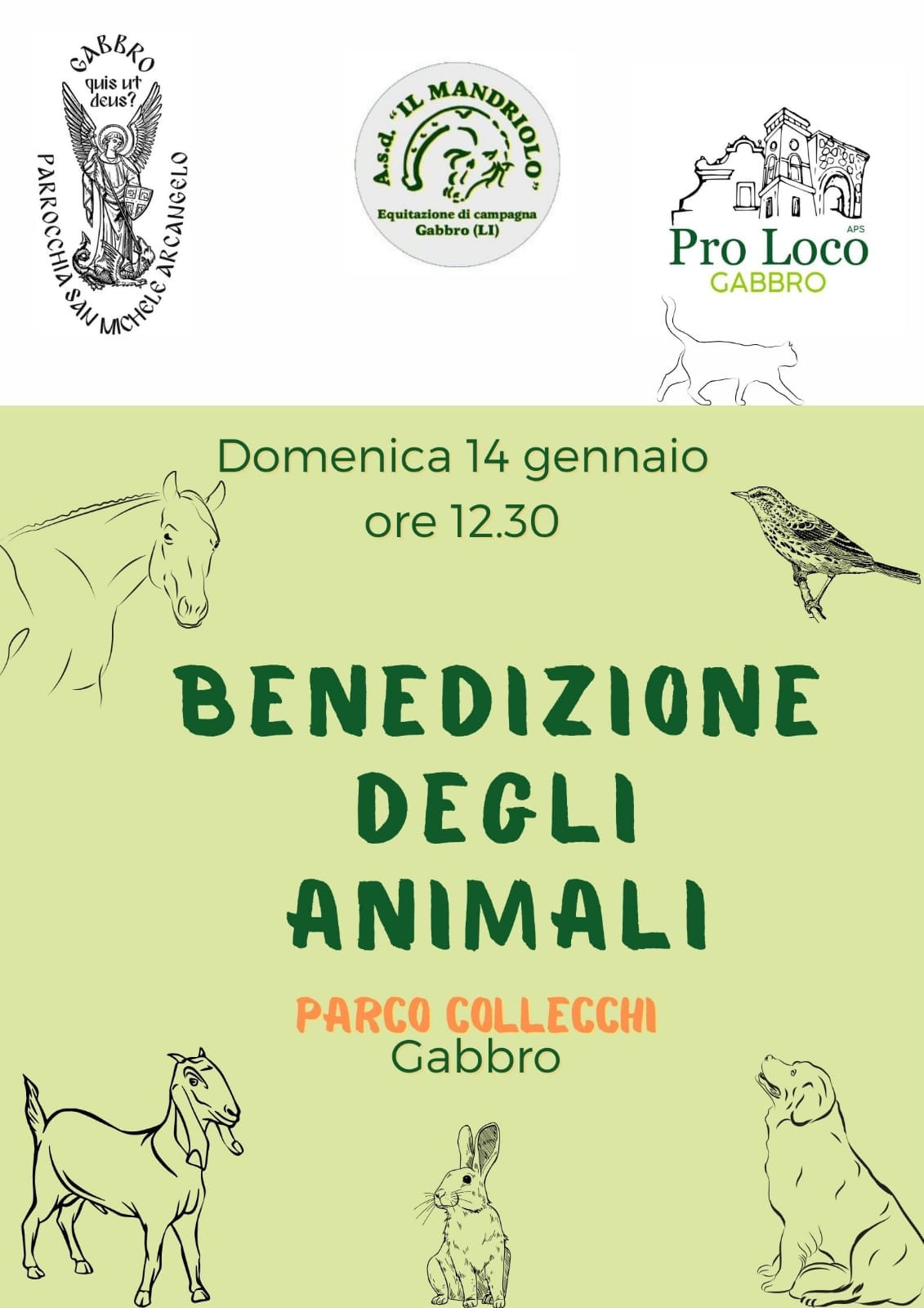 Benedizione degli animali