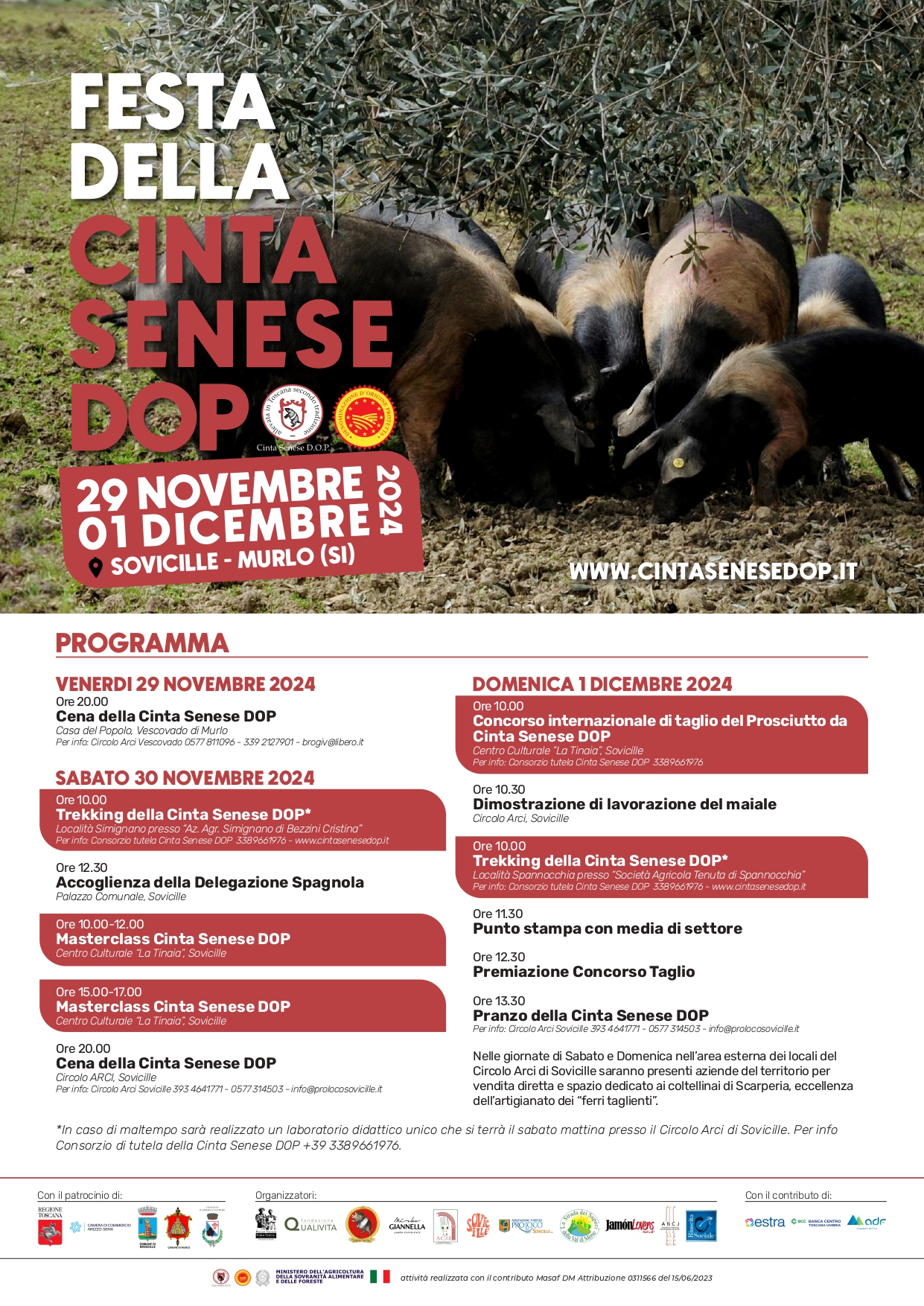 Festa della Cinta Senese