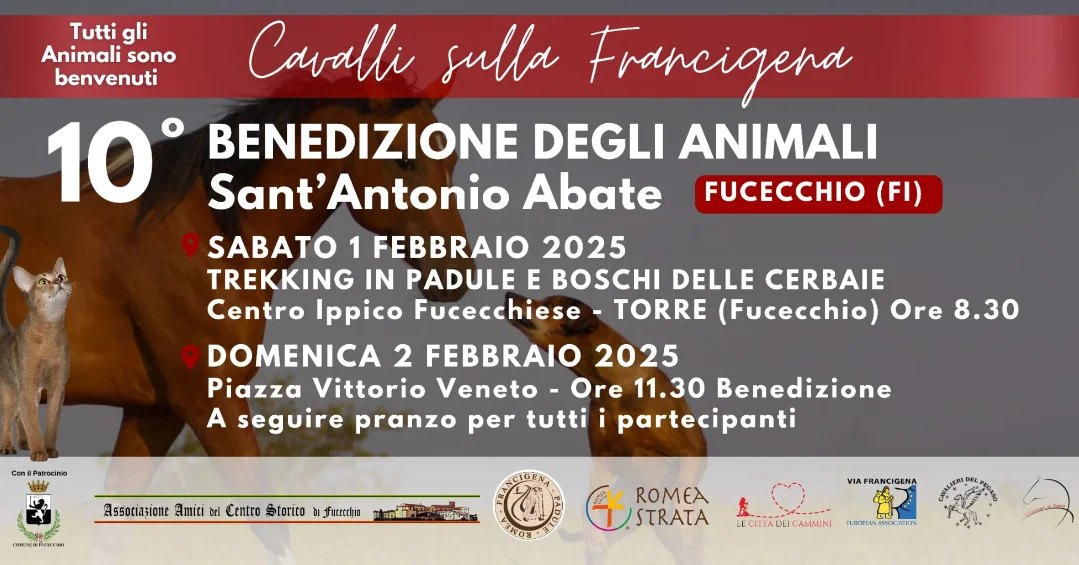 Benedizione degli animali
