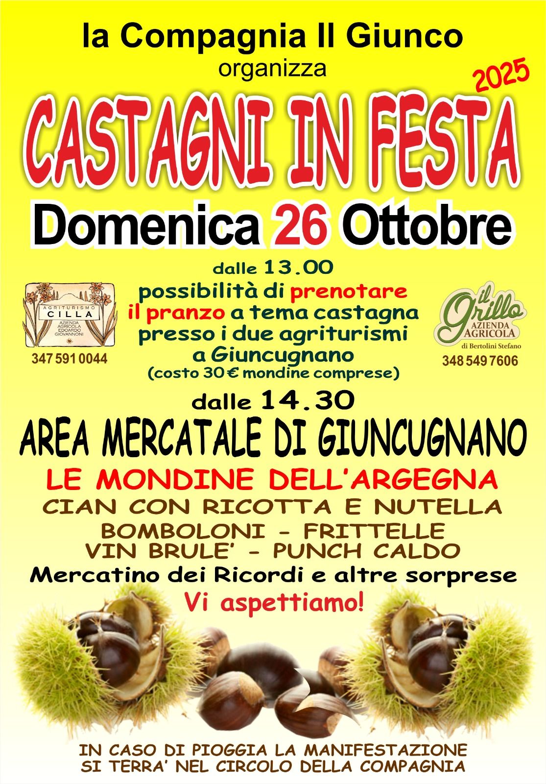Castagni in festa