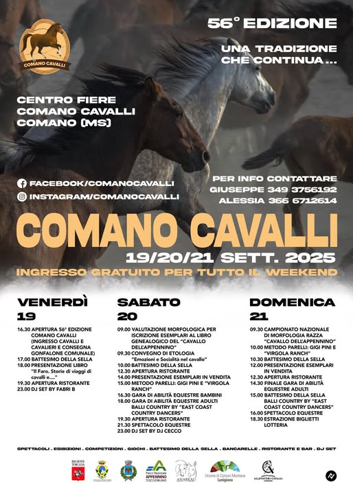 Comano Cavalli