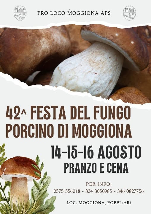 Festa del Fungo Porcino di Moggiona