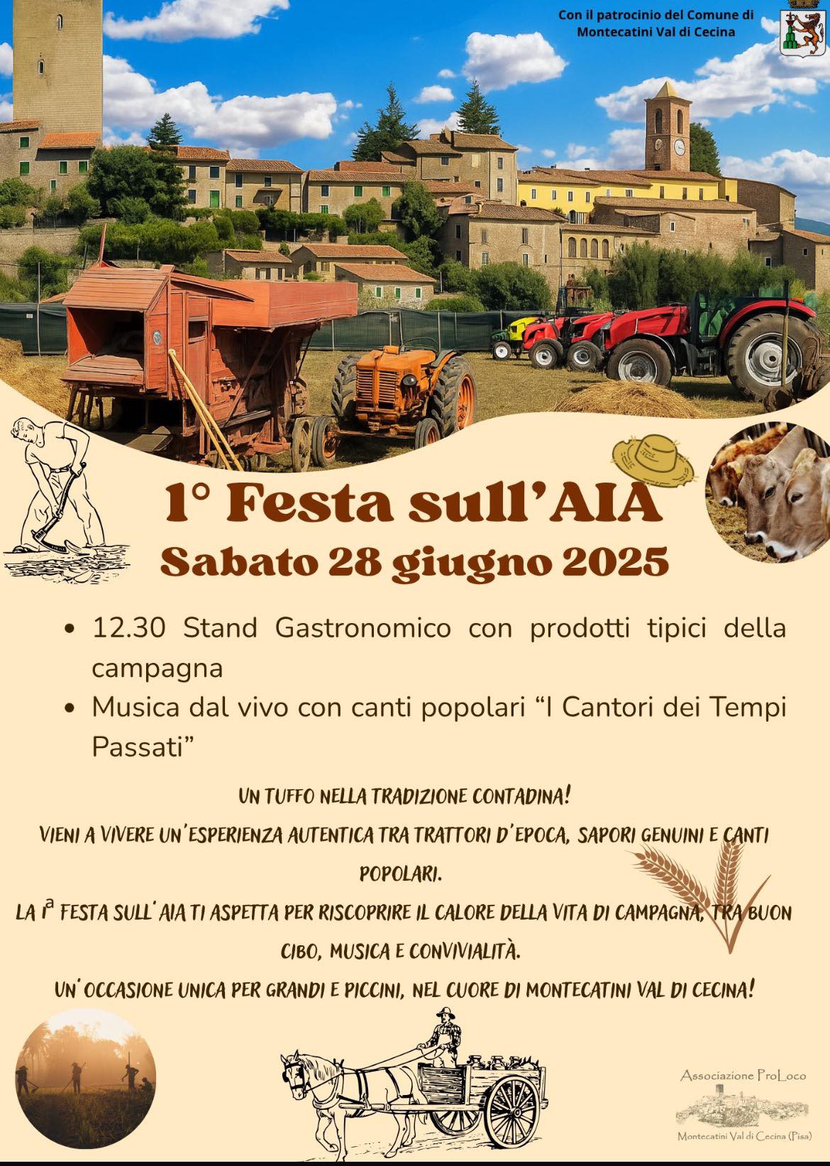 Festa sull'aia