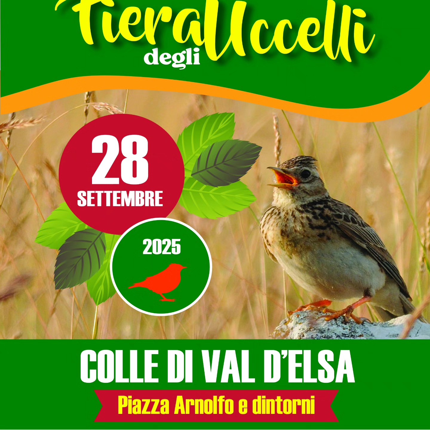 Fiera degli Uccelli