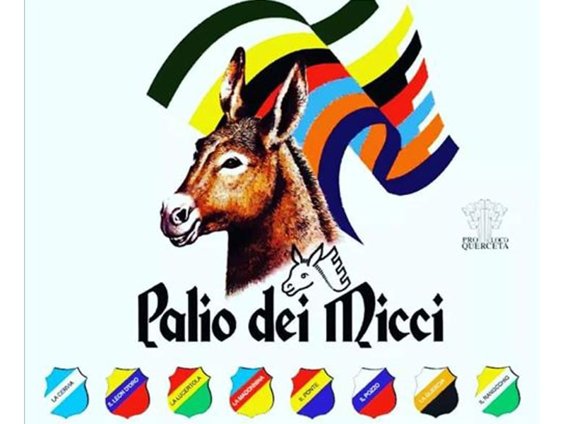 Locandina del Palio dei Micci a Querceta