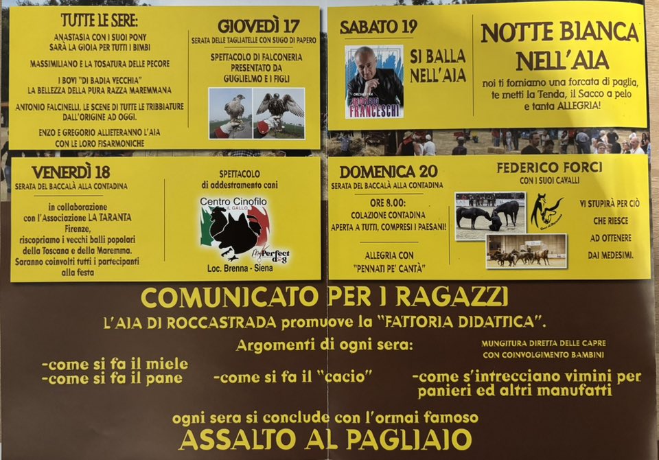 Festa nell'aia