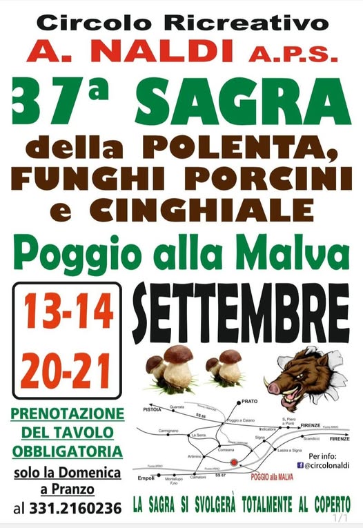 sagra-della-polenta-funghi-porcini-e-cinghiale