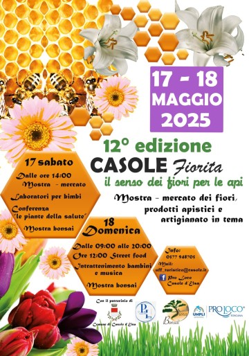 Casole Fiorita