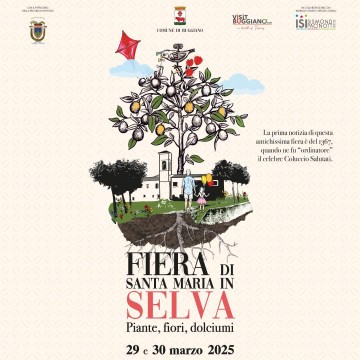 Fiera di Santa Maria in Selva