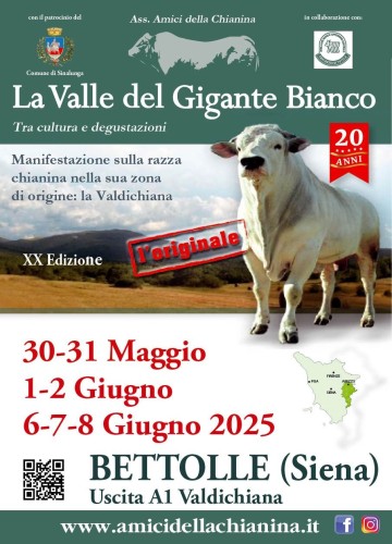 La Valle del Gigante Bianco