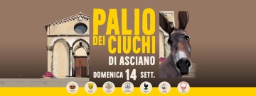 Palio dei Ciuchi