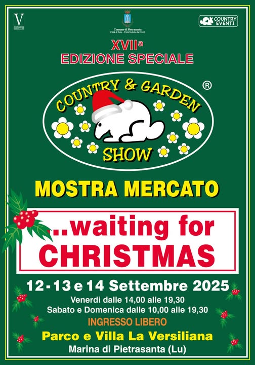 Mostra Mercato Waiting For Christmas